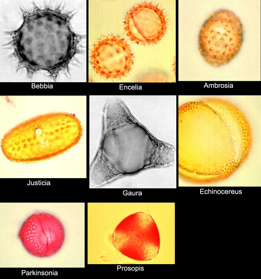 Climate Change Pollen