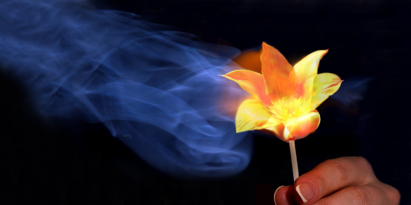 Elémentalia  Smoke+flower+hand+large+bright