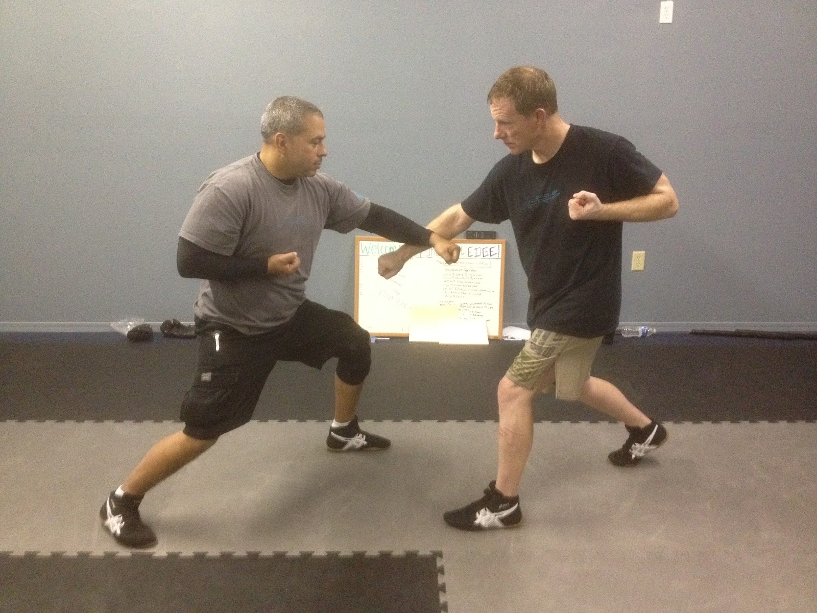 Functional Edge System January 2012