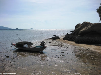 Low tide in Plai Laem