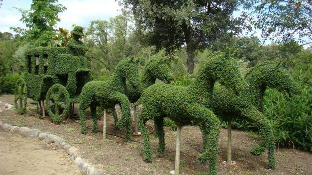 Easy Garden Jardineria The Topiary Art