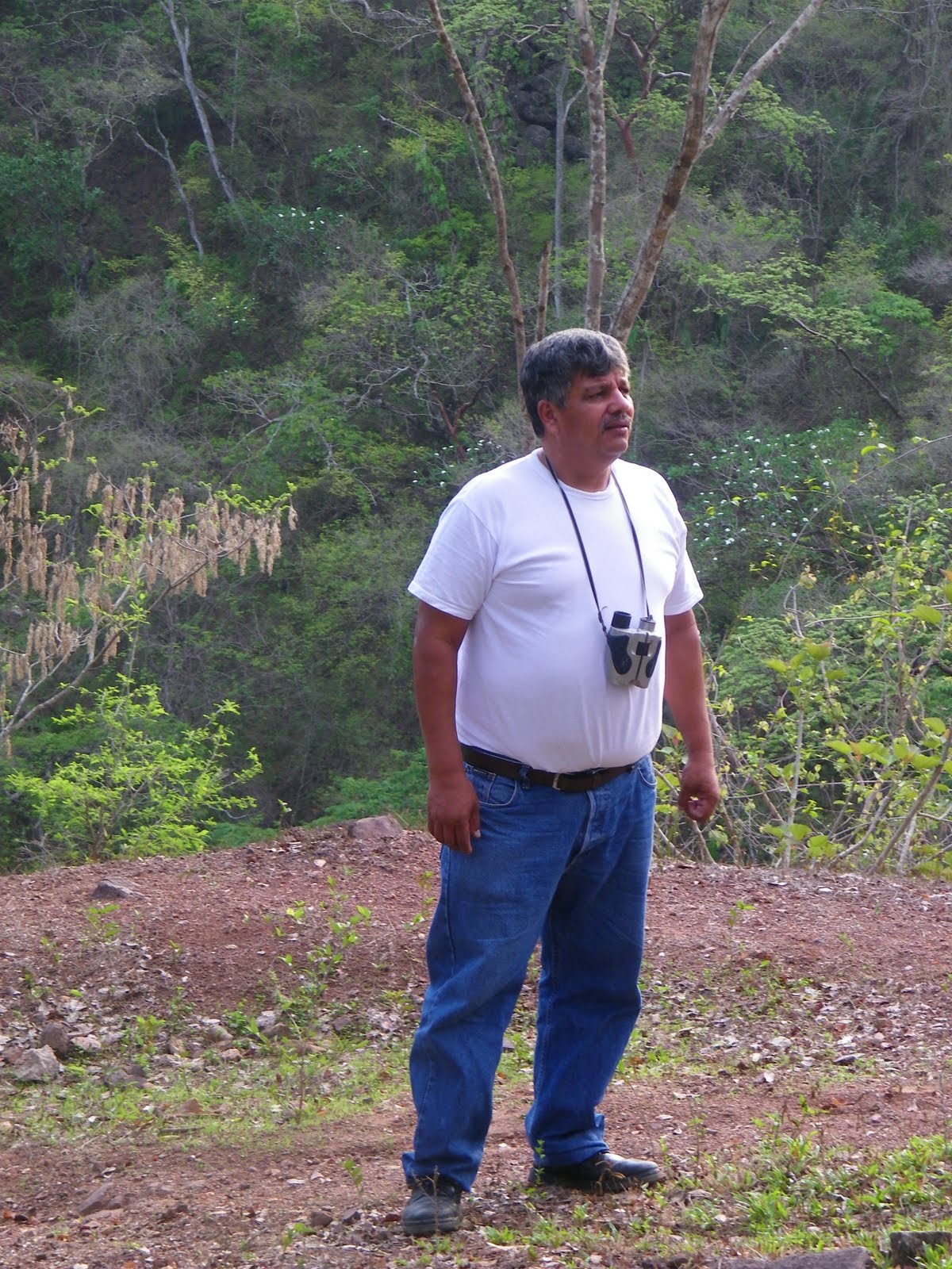 materiales de apoyo a la educacion