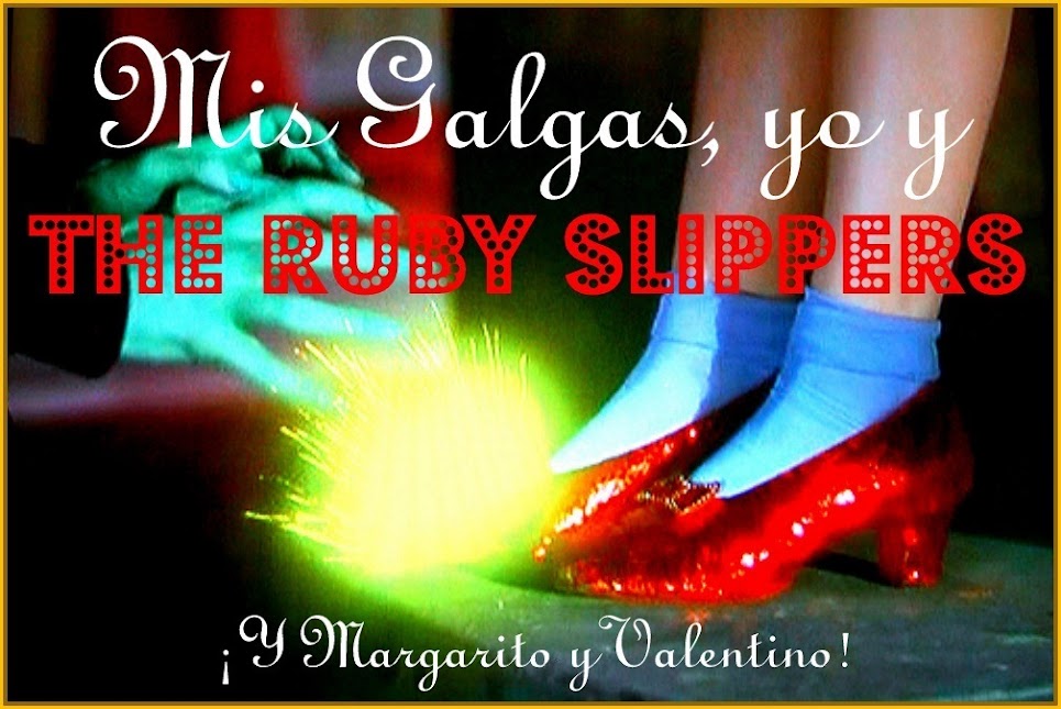 Mis galgas, yo y the ruby slippers