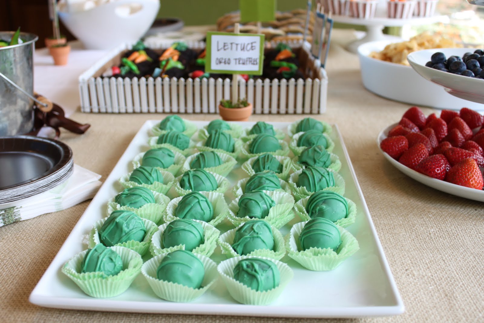 Peter Rabbit Birthday Party