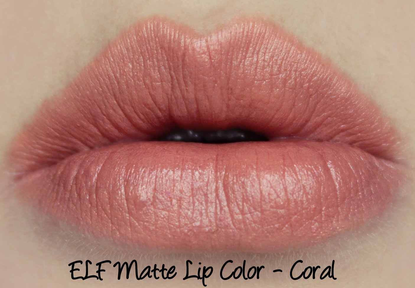 ELF Matte Lip Color Coral and Praline Swatches & Review Lani Loves