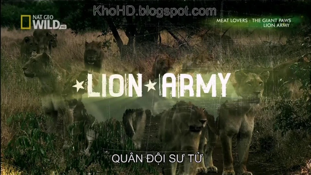 Lion+Army+1080i+HDTV_KhoHD+(Viet)%5B16-33-50%5D(1).JPG