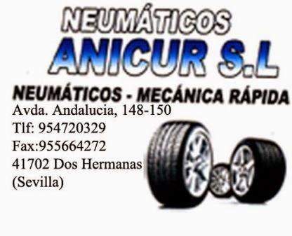 Neumáticos Anicur