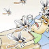 शाहजहांपुर - अल्हागंज में मच्छरों ने किया परेशान, नगर पंचायत नहीं दे रही है ध्यान