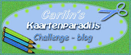 carlin 's kaarten paradijs