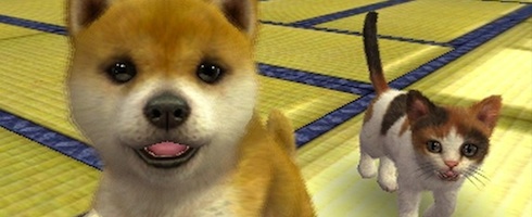 ways to get money on nintendogs and cats