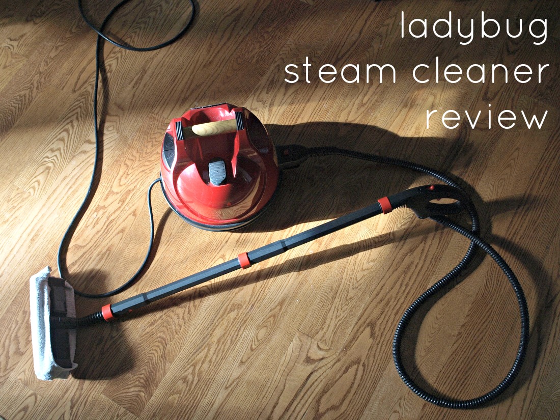 » Lady Bug Steam Cleaner Review