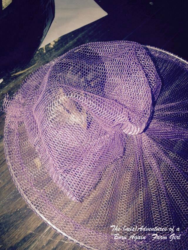 Why Quail Do NOT Make Good Pets - The (mis)Adventures of a Homesteadin