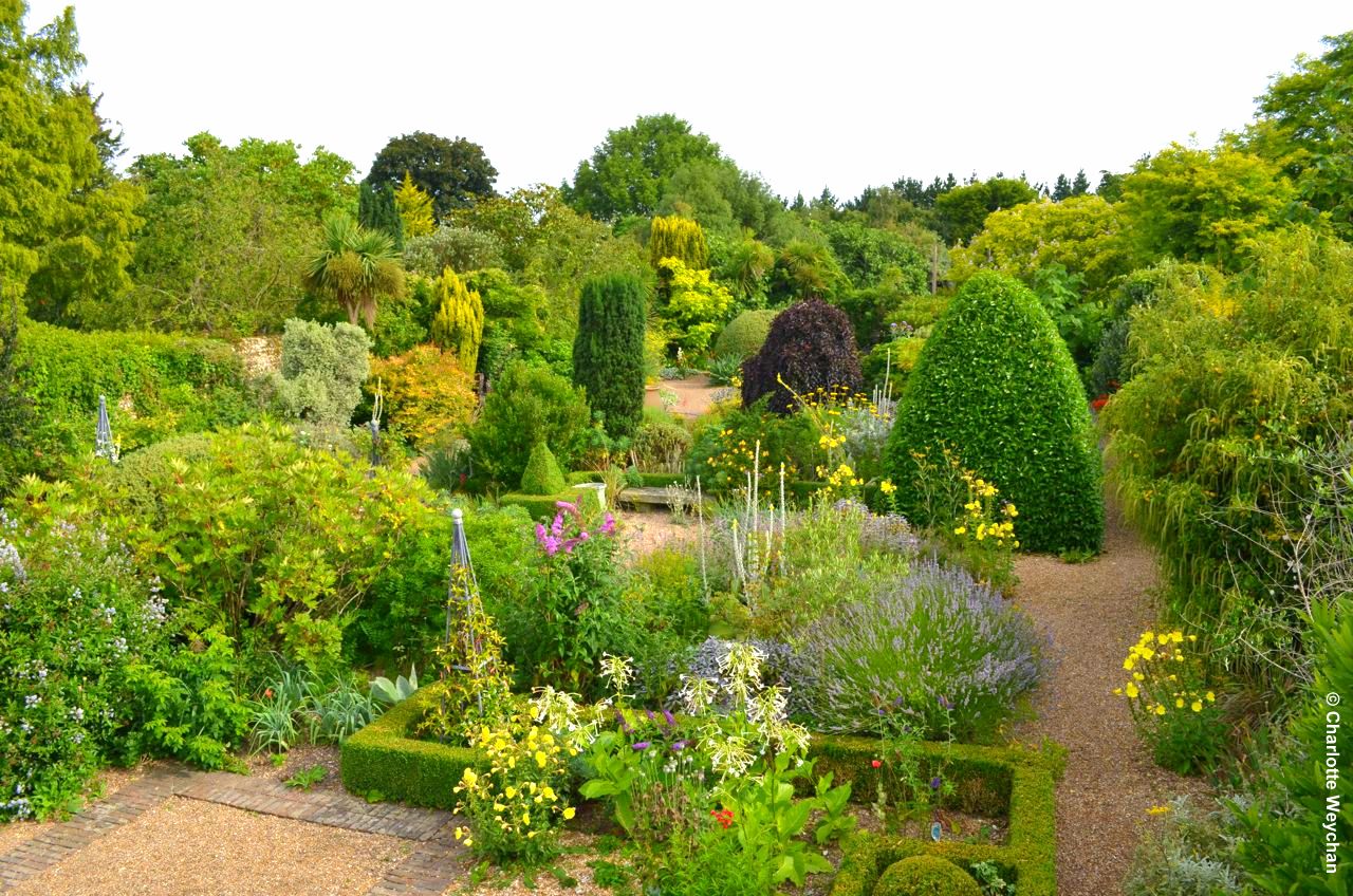 August gardens - Up in the air with John Brookes at Denmans