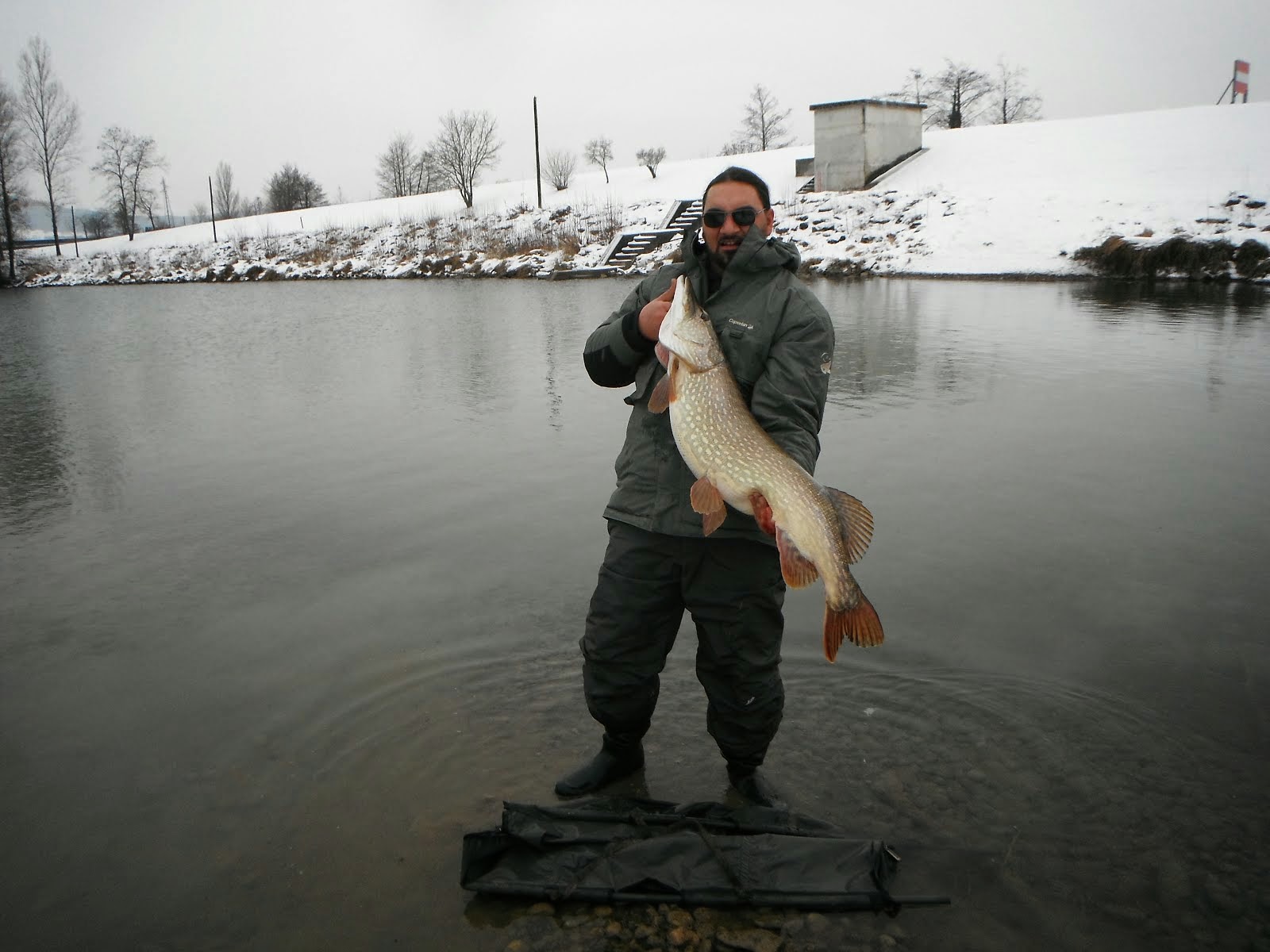 Brochet à la mouche