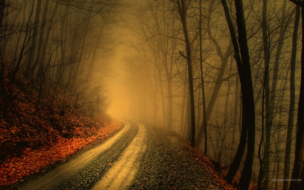 Nature Stories: Haunted Scenes