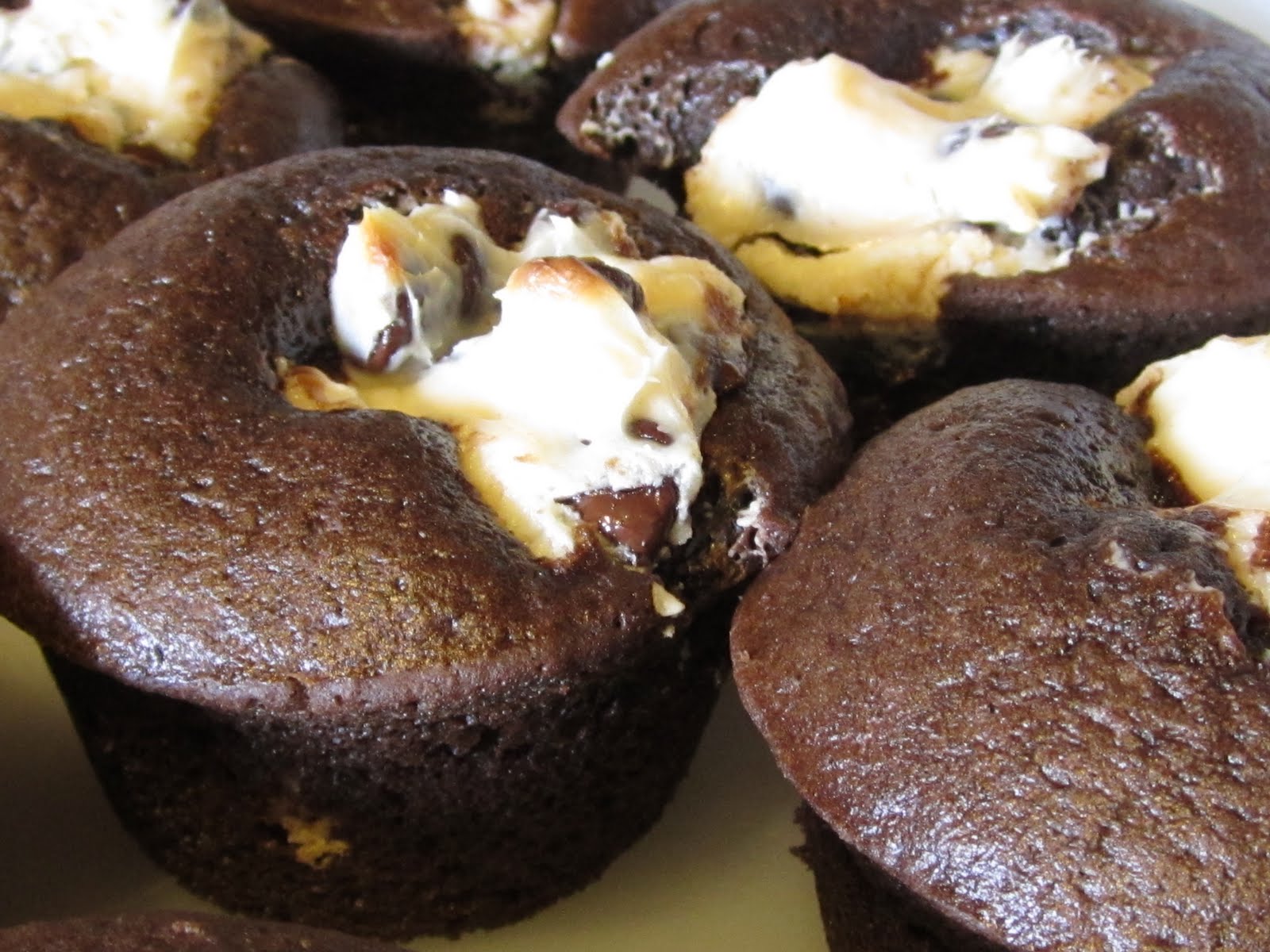 Cariboo Gals Black Bottom Cheesecake Cupcakes Recipe!