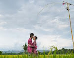 sawah padi Sungai Besar