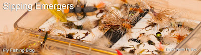 Fly Fishing Blog Sipping Emergers 