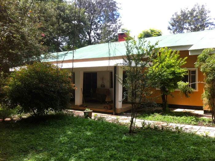 Travel tips, tanzanite, safari bookings,kilimanjaro climb,trekking