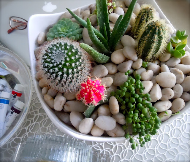 The Koenigs Create 15 Beautiful Indoor Cactus Gardens