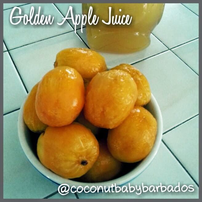 CoconutBaby Golden Apple Juice 102814