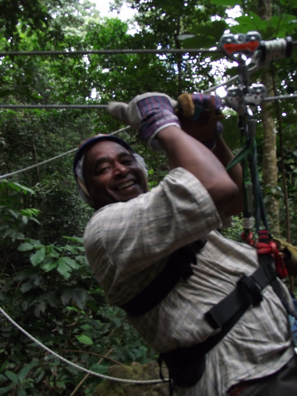 dwightthewinedoctor Travel St. Lucia by Rainforest "Zip Line" Express