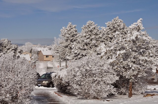 Colorado Springs winter scenes January 2015 coloradoviews.filminspector.com