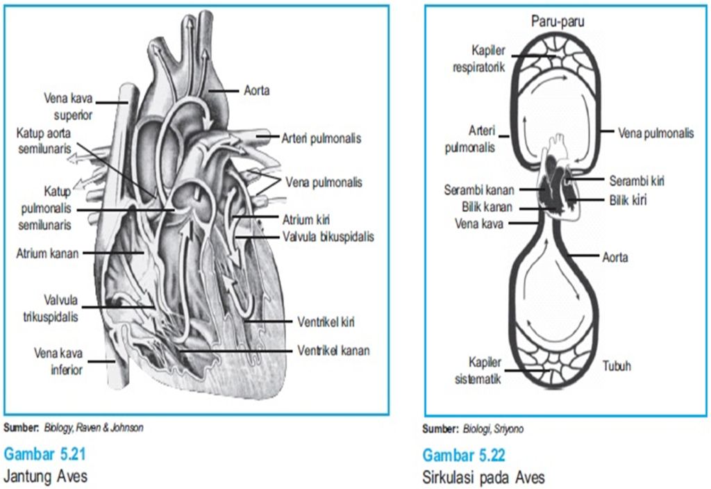 sEMUAnya ada di SiNi 2011