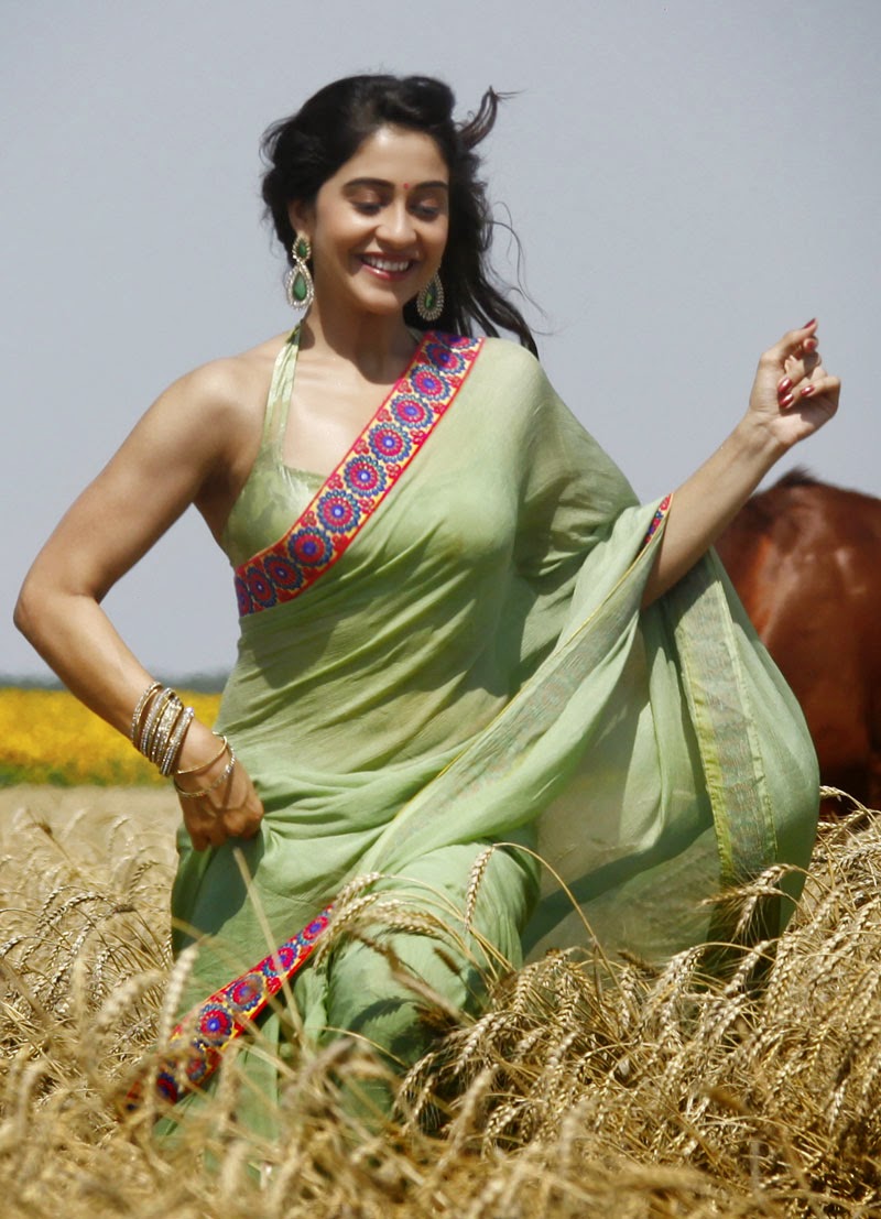 Actress Saree Photos special