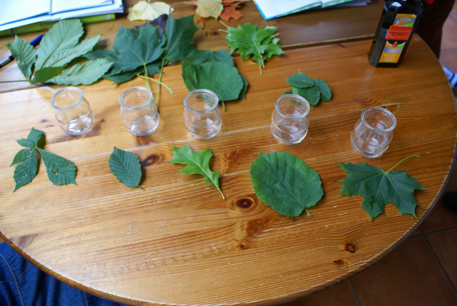De miniklas, een blog over thuisonderwijs.: oktober 2013