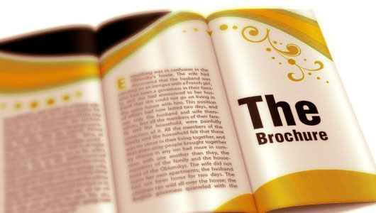 brochure brochure
