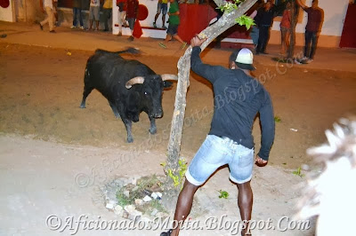 https://picasaweb.google.com/112628067891720623695/AlcocheteFestasBarreteVerdeLargadaDeToirosReportagemFotografica01h30130813#slideshow/5941013770807818642