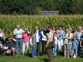 Bocholt Und Mehr Kurbisfest Vogel Flugshow De Valkenhof