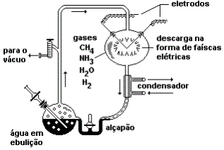Resultado de imagem para Na figura abaixo, temos representado um aparelho projetado por Stanley Miller, no inÃ­cio da dÃ©cada de 1950. Por esse aparelho circulavam metano, amÃ´nia, vapor de Ã¡gua e hidrogÃªnio e, atravÃ©s de energia fornecida por descarga elÃ©trica, produtos de reaÃ§Ãµes quÃ­micas como aminoÃ¡cidos, carboidratos e Ã¡cidos graxos eram coletados no alÃ§apÃ£o.