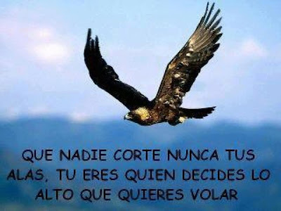 mensaje%252Cnadie+corte+tus+alas%252C+vuela+alto%252Cface.JPG