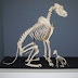 Osteosarcoma in Dogs: Diagnosis, Treatment and Outcomes