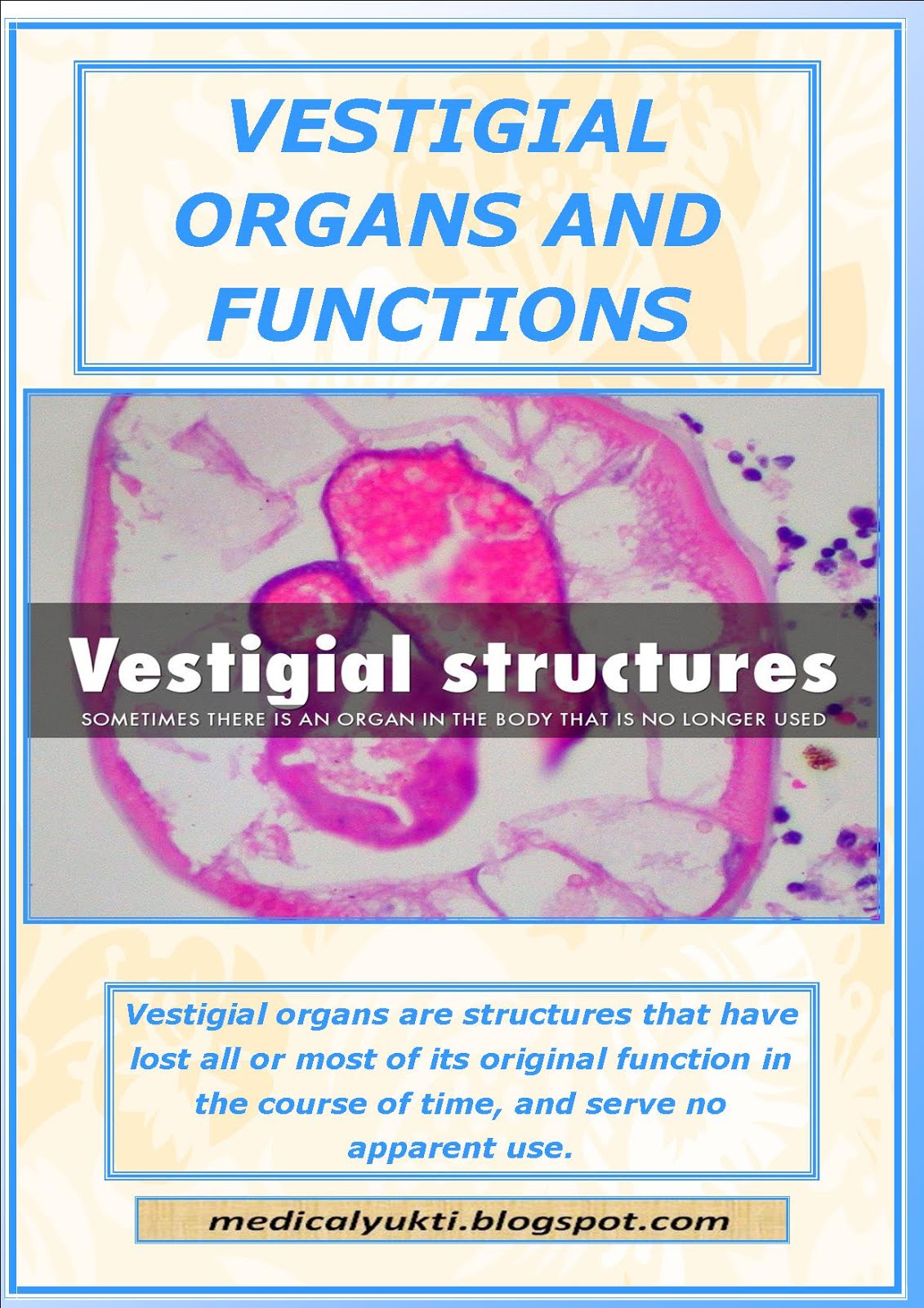 Vestigial-organs