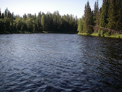 Fjätälven 2011