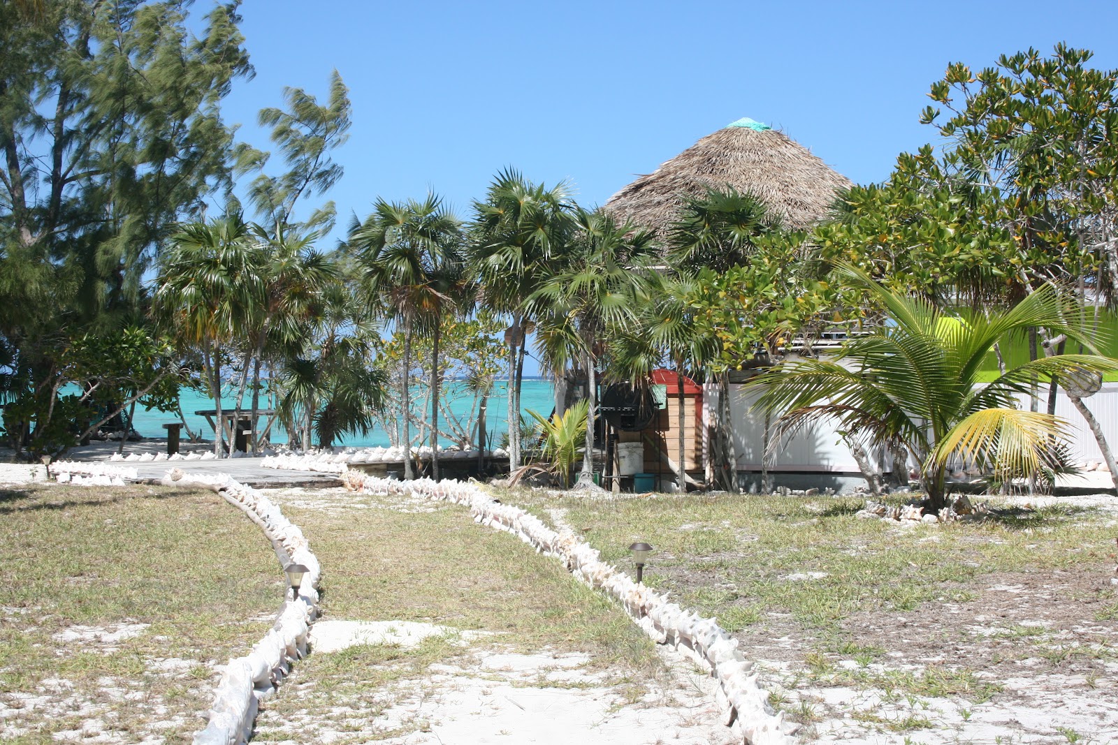 Barracuda Beach Bar and Grill Barracuda Beach Bar and Grill