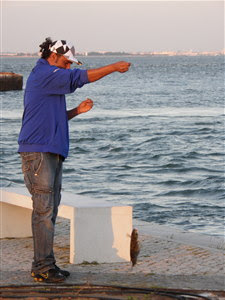 Memorando troika pdf - ytycejitafileswordpresscom