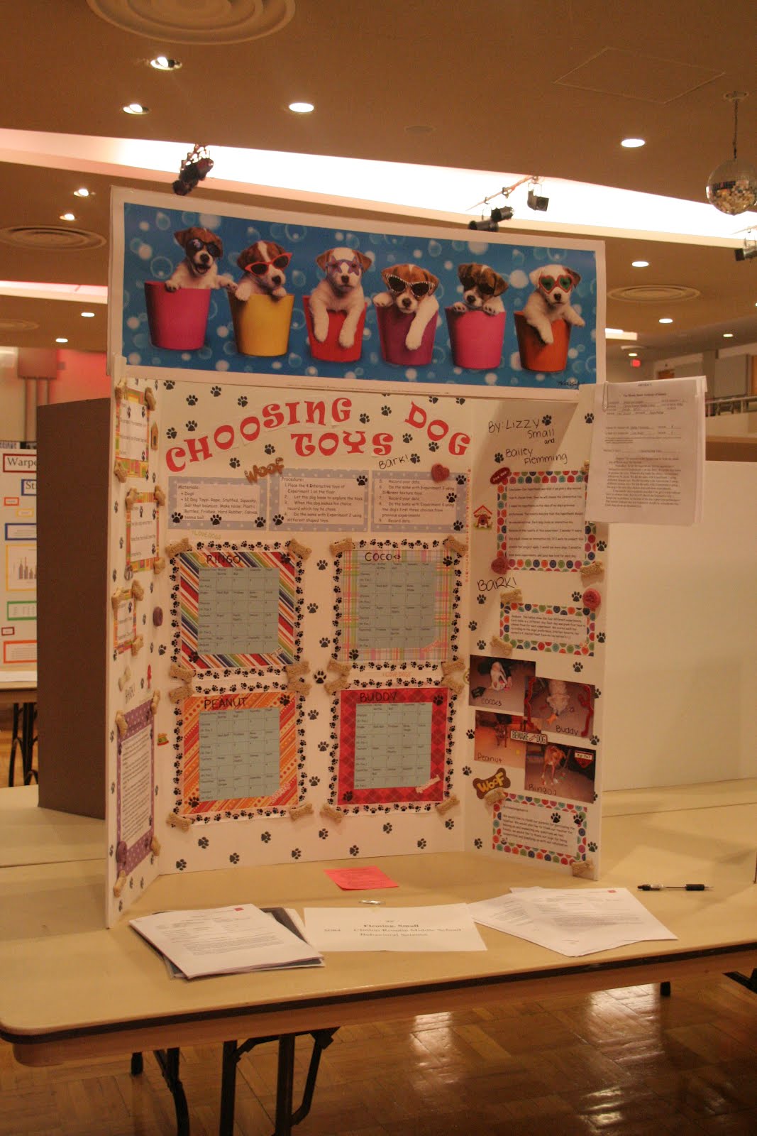 Dr. STEM Mom 'Tis the Season for Science Fairs