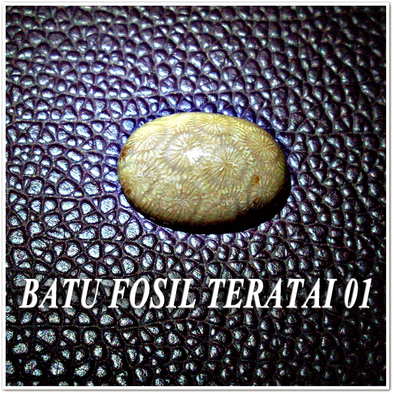 http://batuakik84.blogspot.com/2014/10/batu-fosil-teratai-01.html