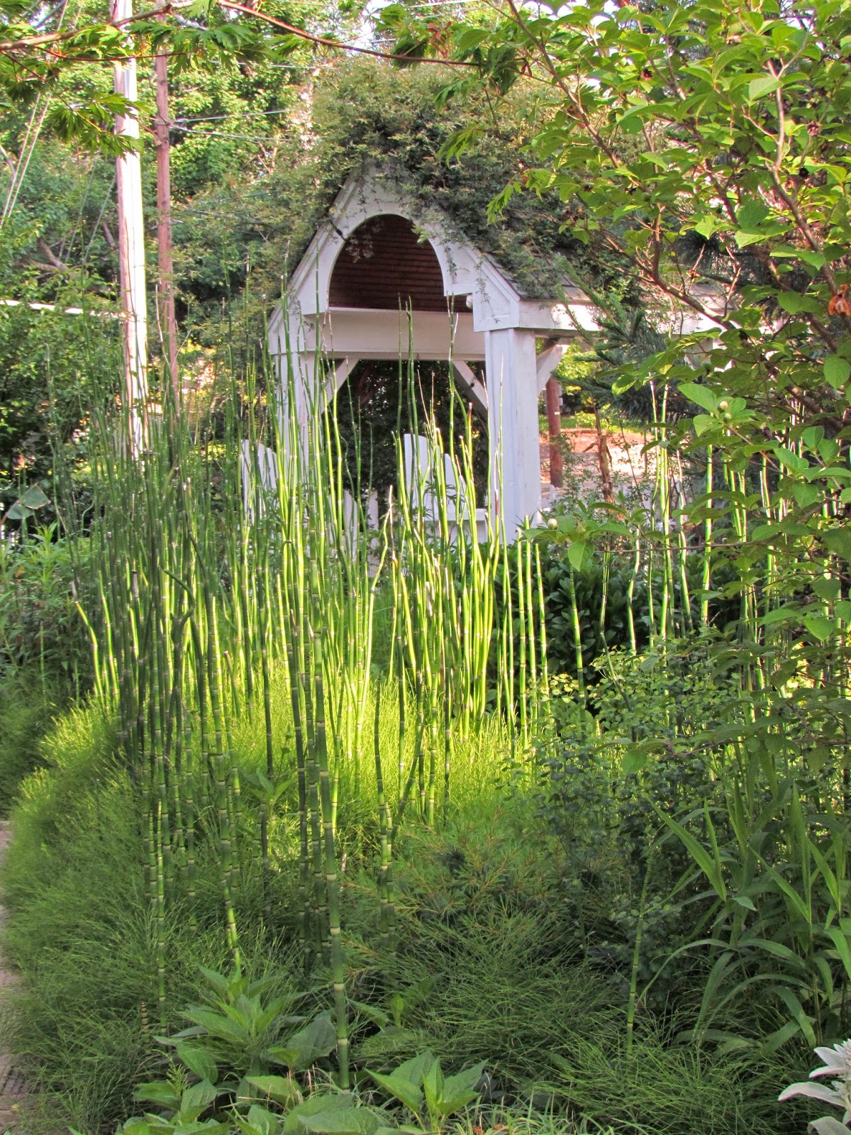 bwisegardening: Around The Garden World - Day 58 (Asheville, NC)