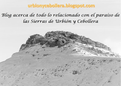 Sierras de Urbión y Cebollera