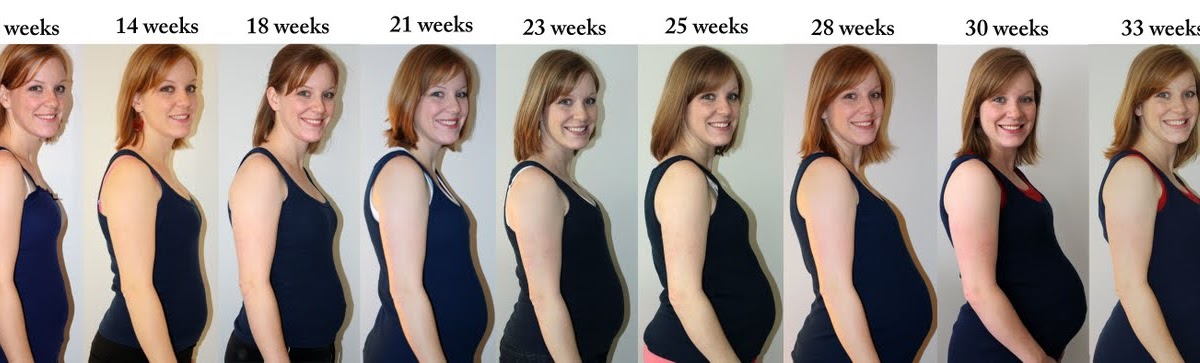 Nutrition and Pregnancy: Pregnancy weight gain