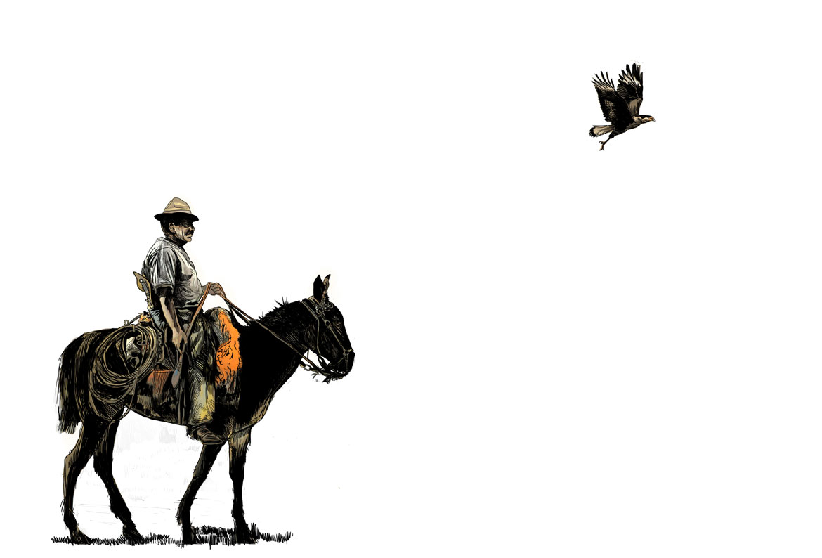 The mutilating God: authorship and authority