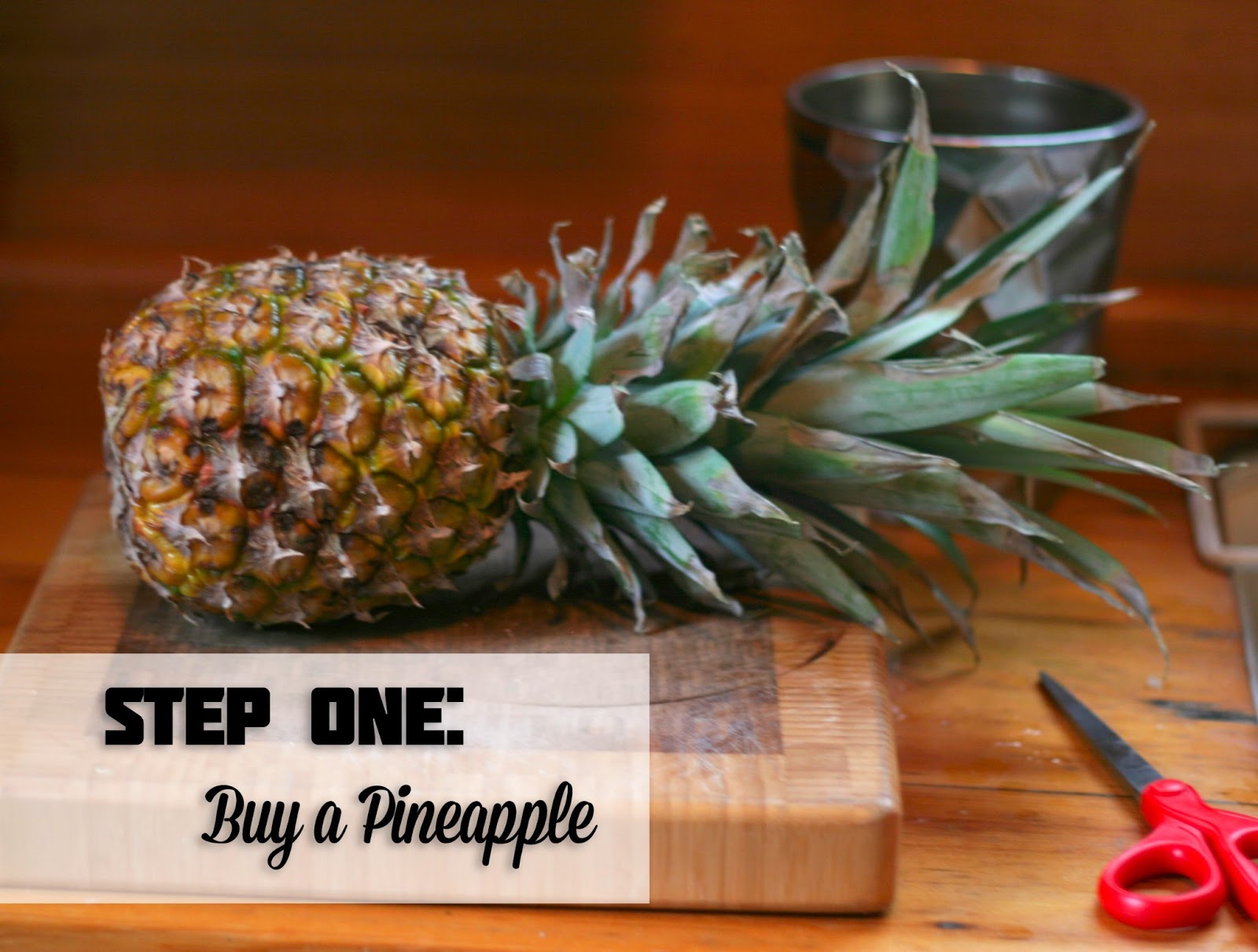 Living on the Chic How to Start a Pineapple House Plant