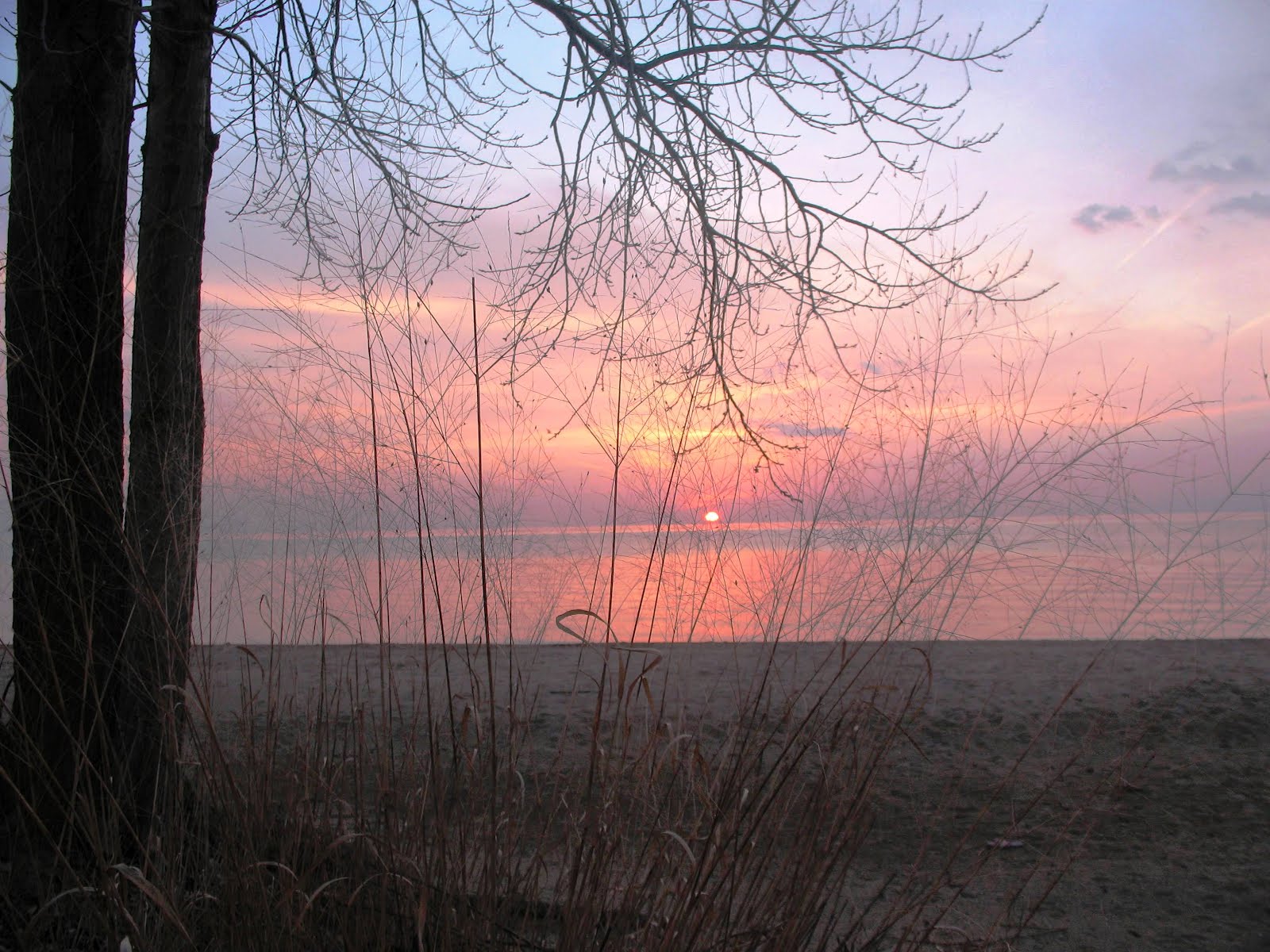 Dundas Valley Outdoors March Break in Turkey Point, Ontario