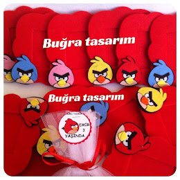 ANGRY BİRDS TEMA