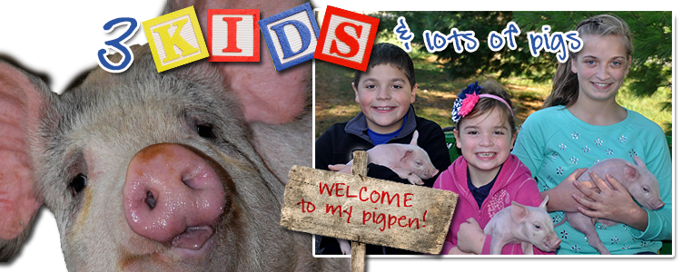 3 kids and lots of pigs:  welcome to my pig pen